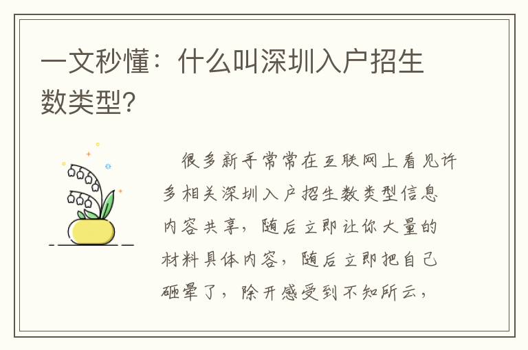 一文秒懂：什么叫深圳入戶招生數(shù)類型？