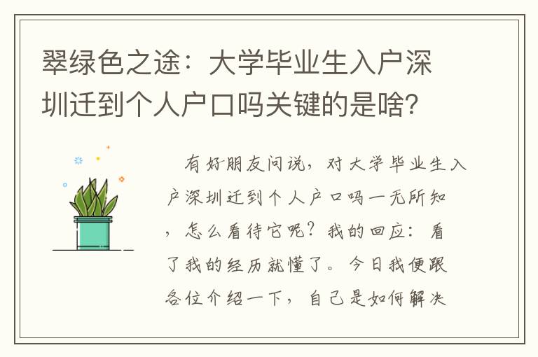 翠綠色之途：大學(xué)畢業(yè)生入戶深圳遷到個人戶口嗎關(guān)鍵的是啥？