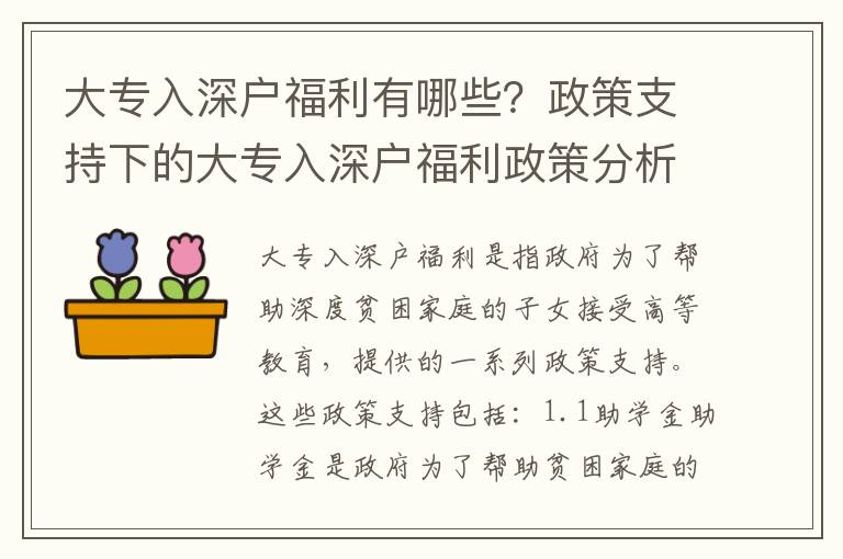 大專入深戶福利有哪些？政策支持下的大專入深戶福利政策分析