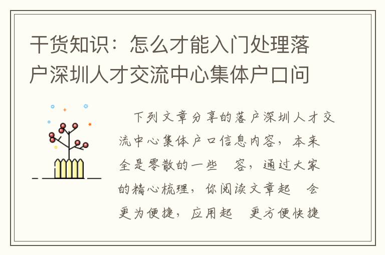 干貨知識：怎么才能入門處理落戶深圳人才交流中心集體戶口問題？