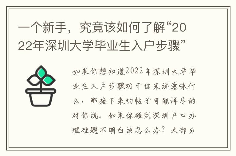 一個(gè)新手，究竟該如何了解“2022年深圳大學(xué)畢業(yè)生入戶步驟”