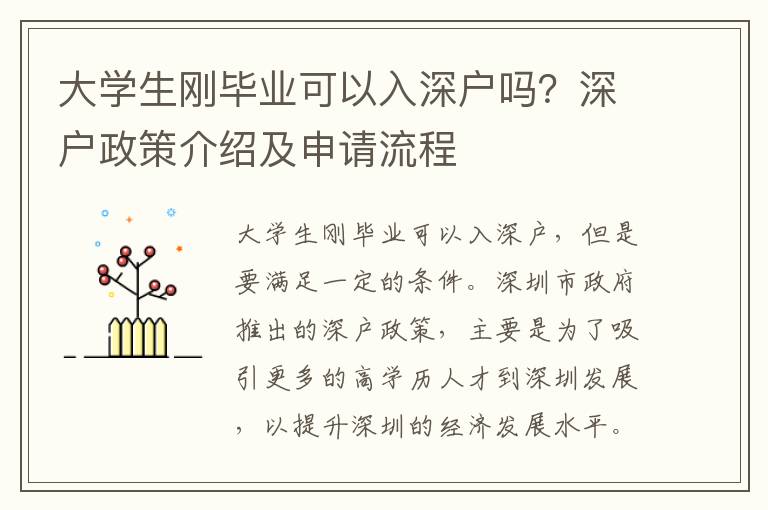 大學生剛畢業可以入深戶嗎？深戶政策介紹及申請流程