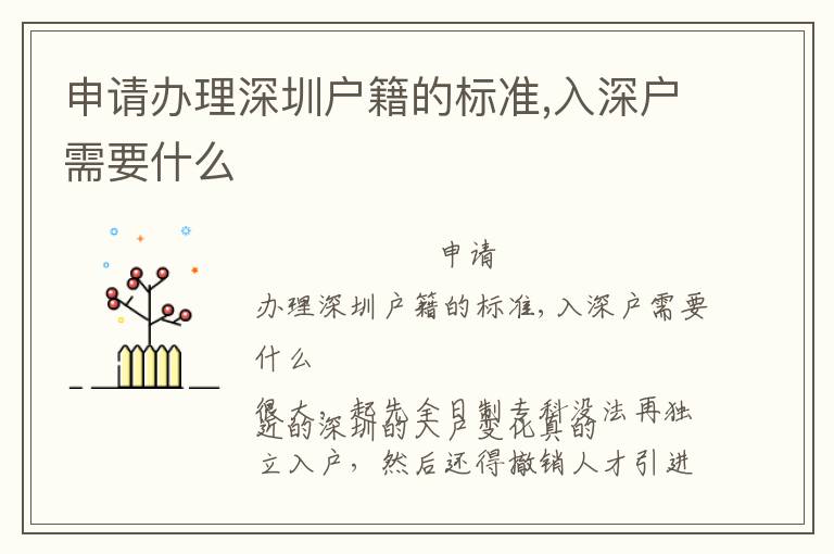 申請(qǐng)辦理深圳戶籍的標(biāo)準(zhǔn),入深戶需要什么