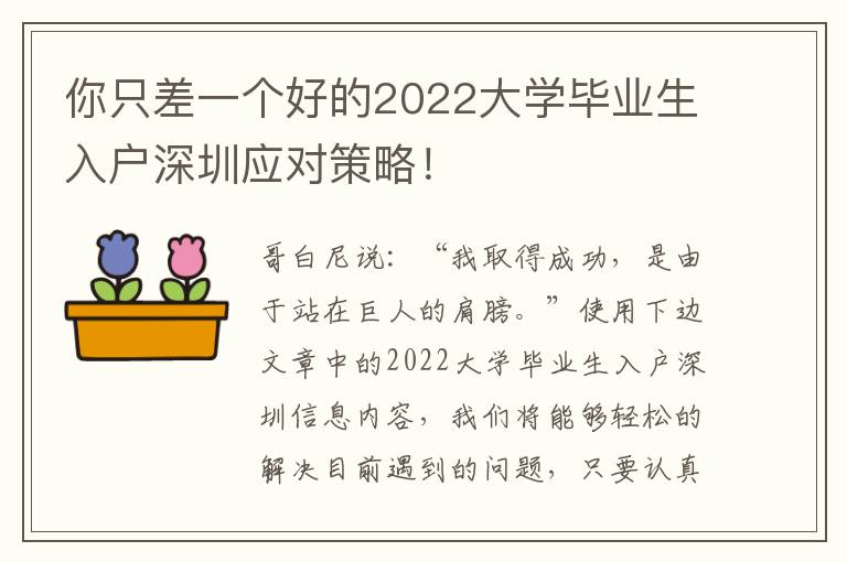 你只差一個好的2022大學畢業生入戶深圳應對策略！