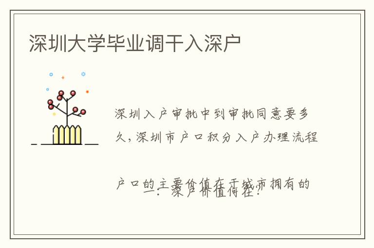 深圳大學畢業(yè)調干入深戶
