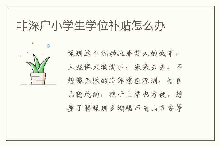 非深戶小學(xué)生學(xué)位補貼怎么辦